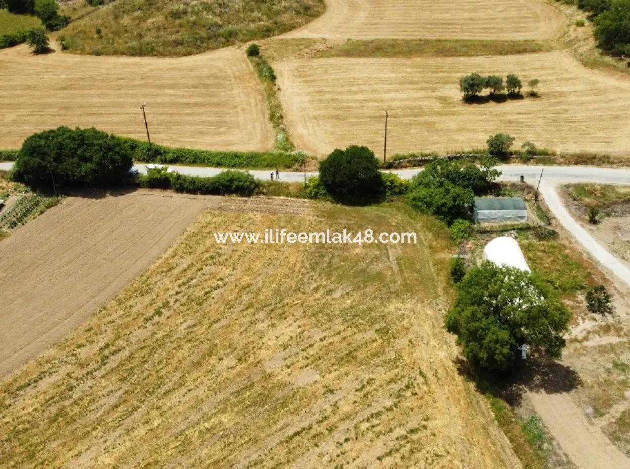 Esentepe'de Satılık 600 M2 Tarla Köy İçi İmarlı Pazarlık Vardır