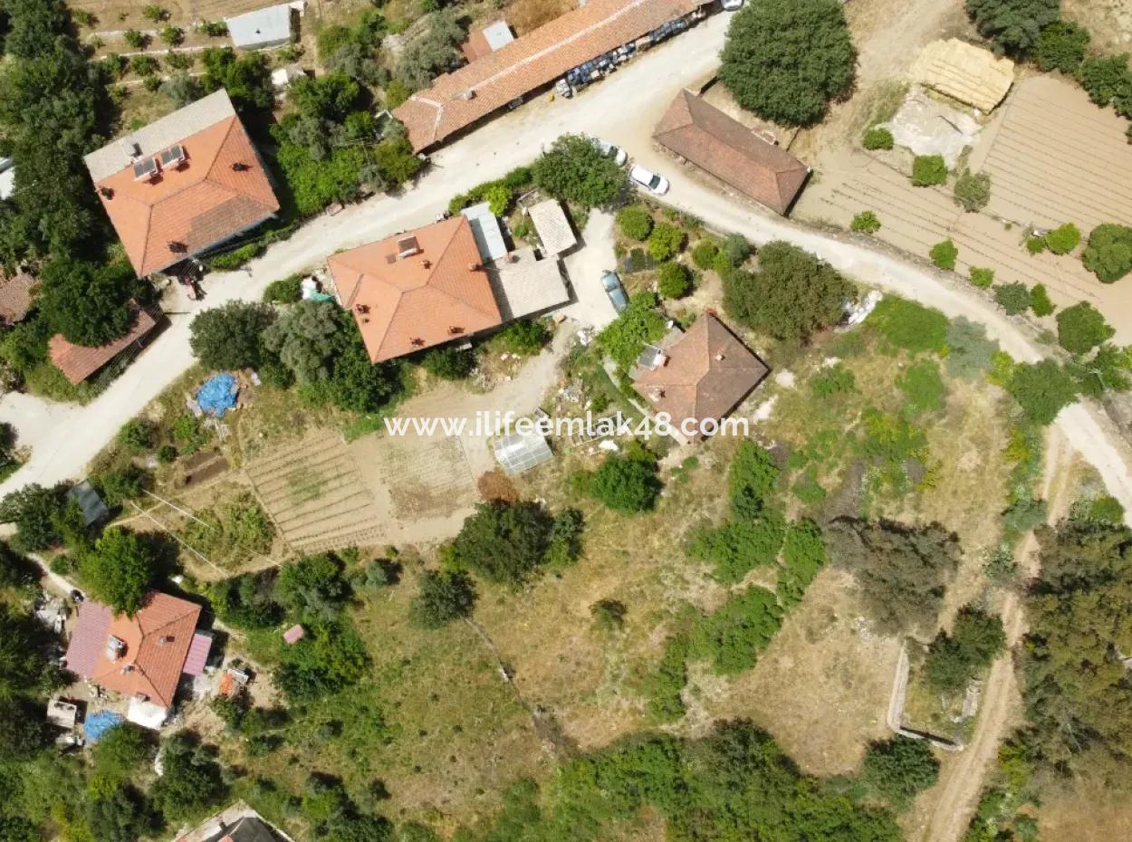 Esentepe'de Satılık 1865 M2 Tarla İçinde 3 Adet Ev Vardır